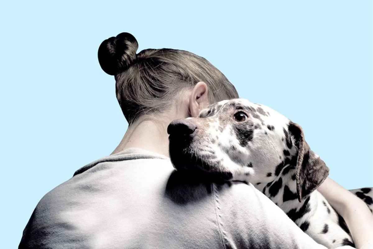 A woman embraces a spotted Dalmatian dog, conveying warmth and comfort against a light blue background.